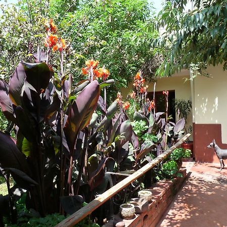 Kukuli Lodge B&B Cusco Exterior photo