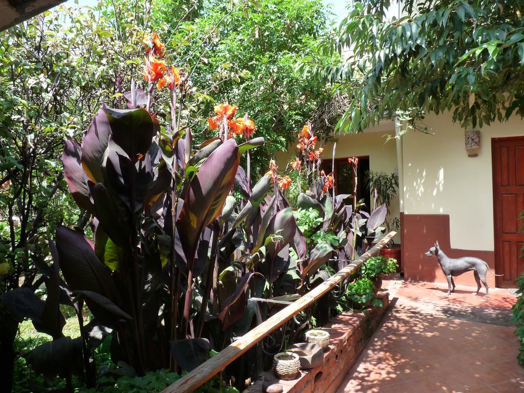 Kukuli Lodge B&B Cusco Exterior photo