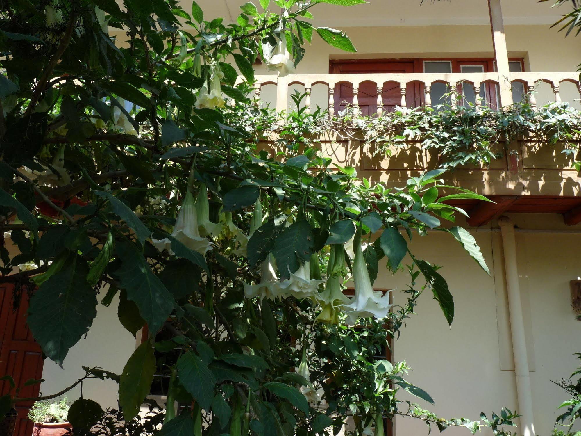 Kukuli Lodge B&B Cusco Exterior photo